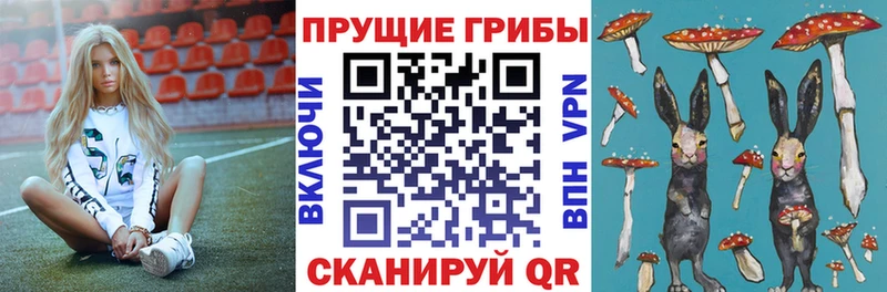 купить закладку  Щёлкино  Галлюциногенные грибы мухоморы 
